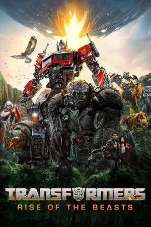 transform