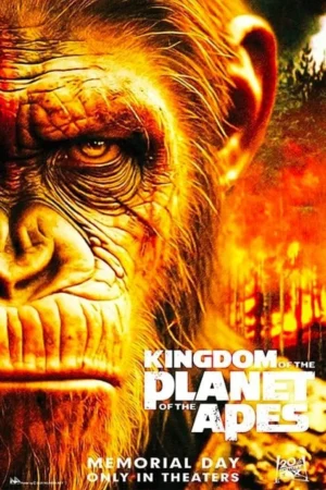 KINGDOM PLANET